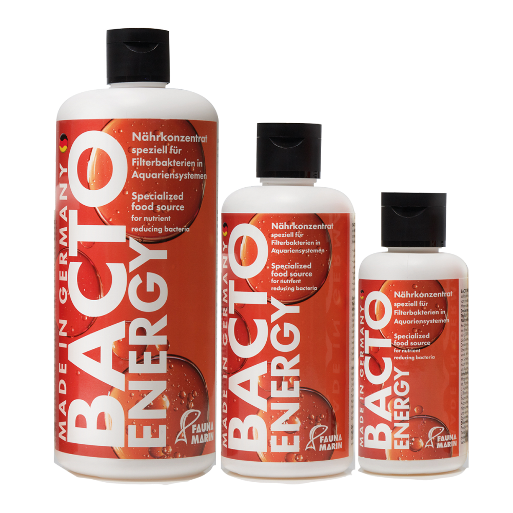 Bacto Energy