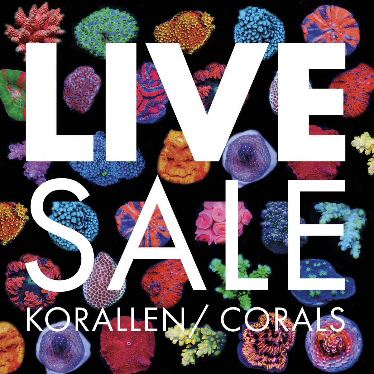 Ticket LiveSale