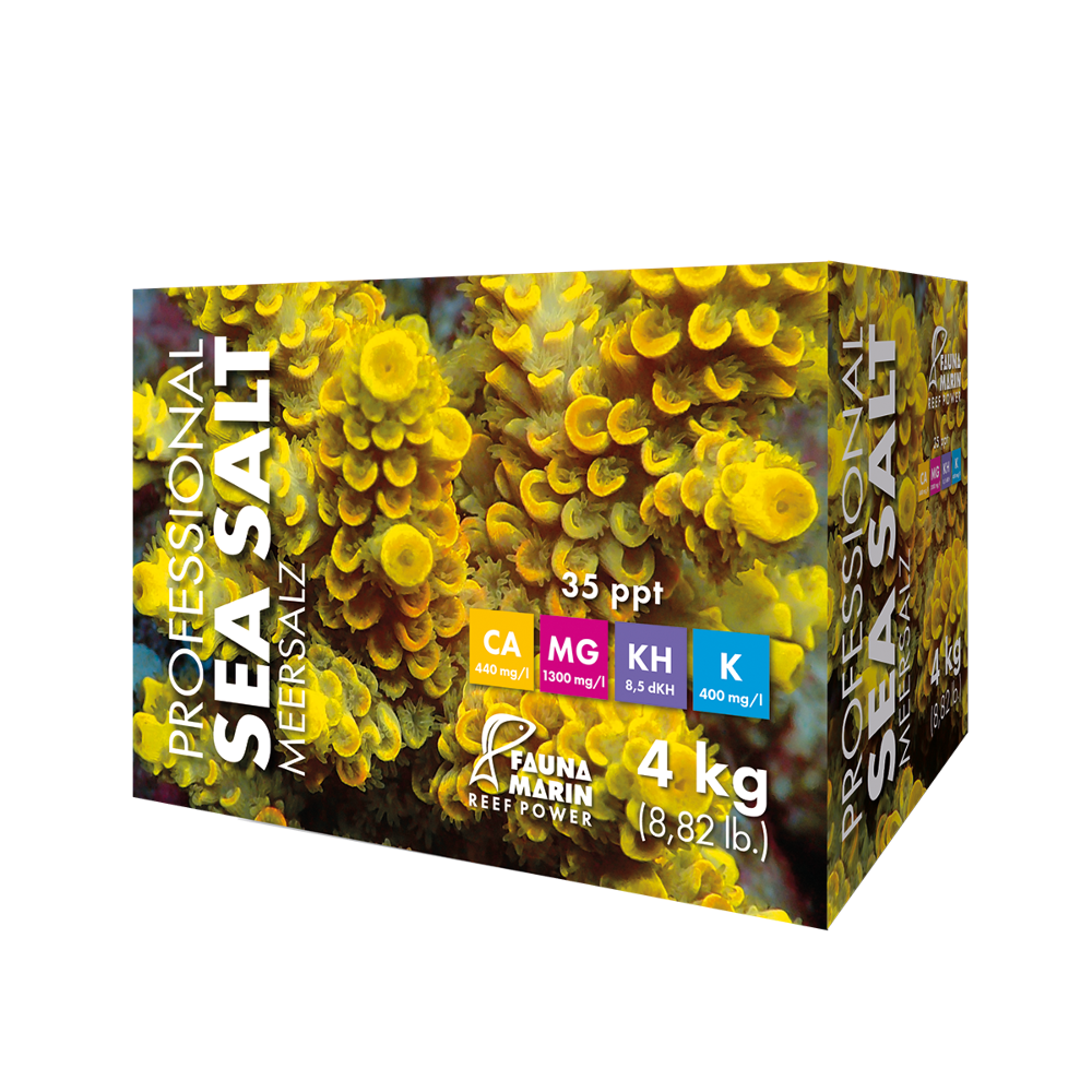 Professional Sea Salt 4kg