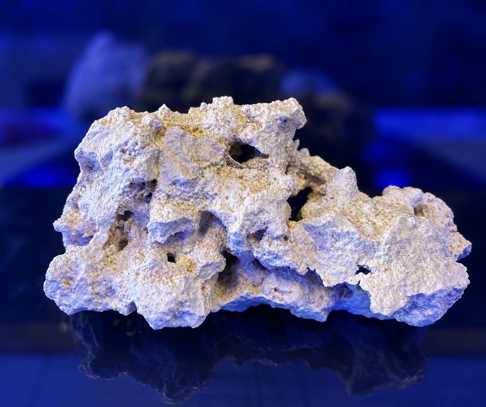 Dry Reef Base Rock