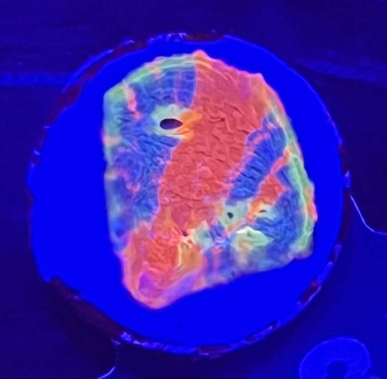 FMC Chalice flaming bugatti