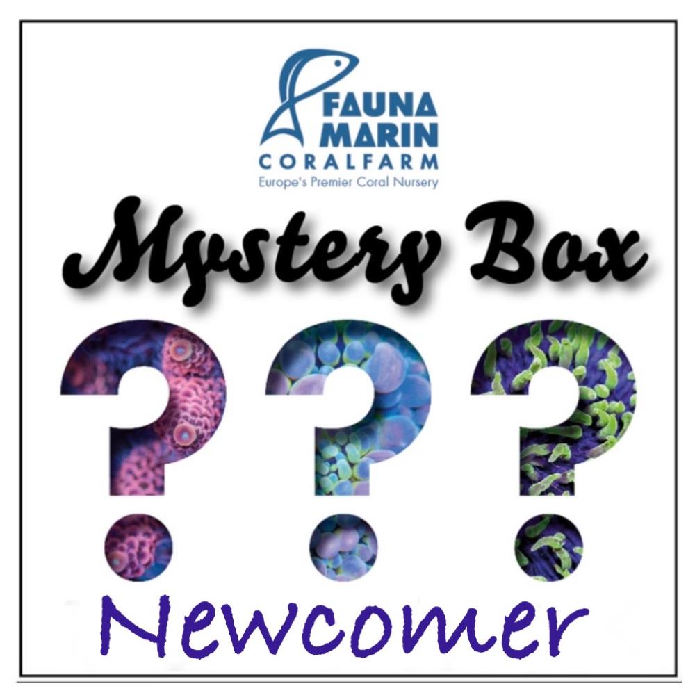FMC Mystery Box Newcomer