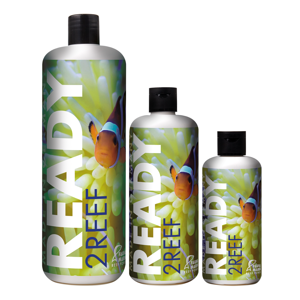 Ready2Reef