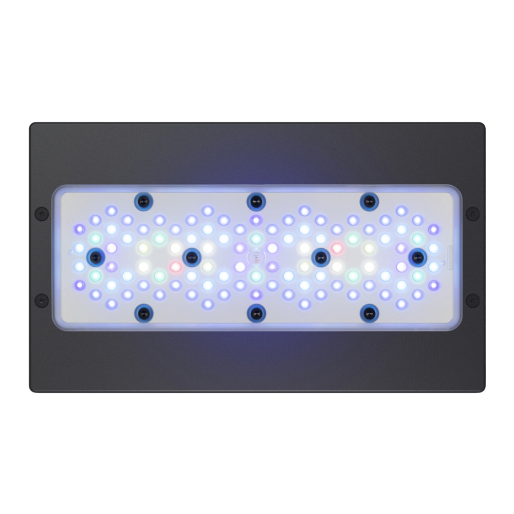 Ecotech Marine Radion XR30 G5 BLUE - Mietgerät