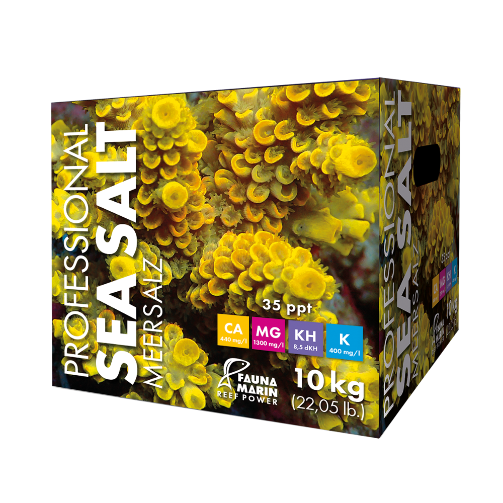 Professional Sea Salt 10kg