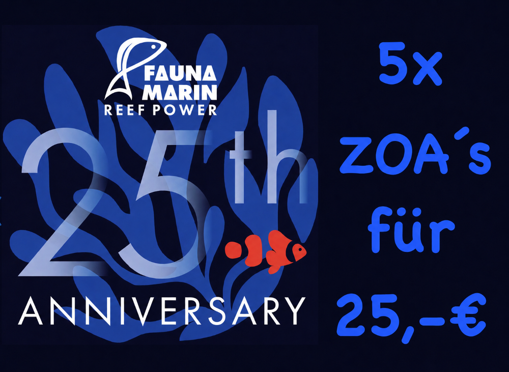 FMC Jubiläumsangebot Zoanthus