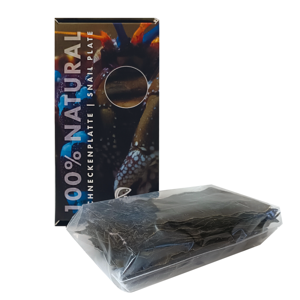 Snail Plate 100% natural Snail Plate 100% natural