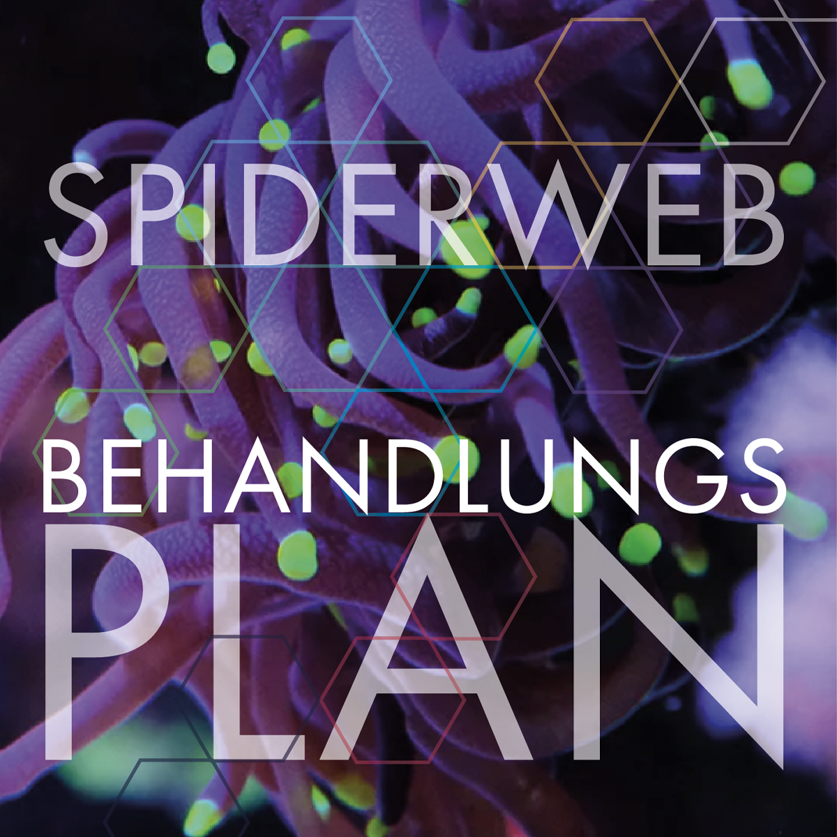 Behandlungsplan