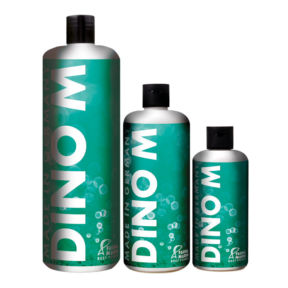 DINO M