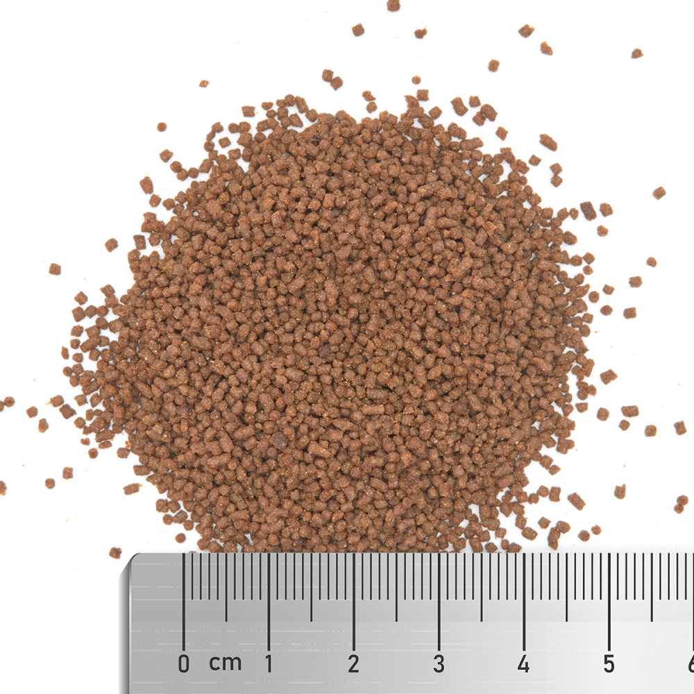 LPS Grow and Color - Pellet food created especially for keeping LPS ...